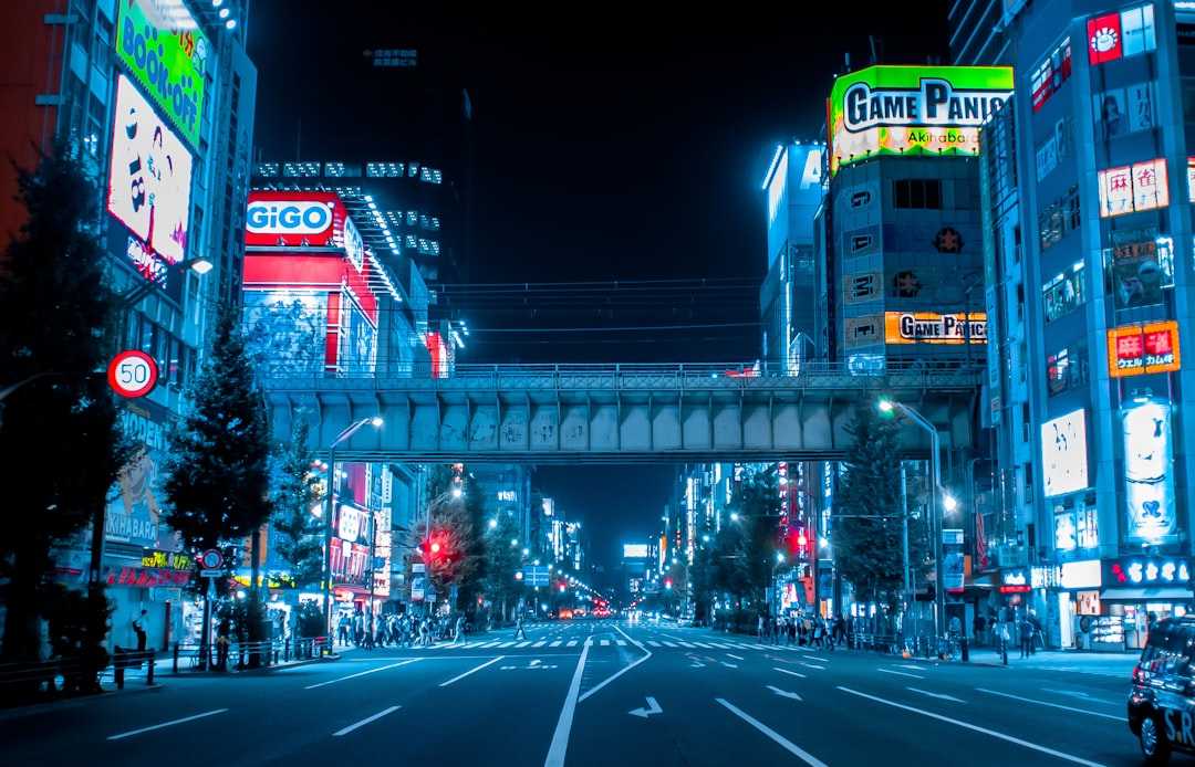 Akihabara Electric Town